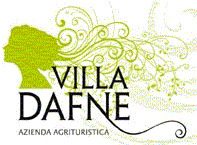 logo villadfne